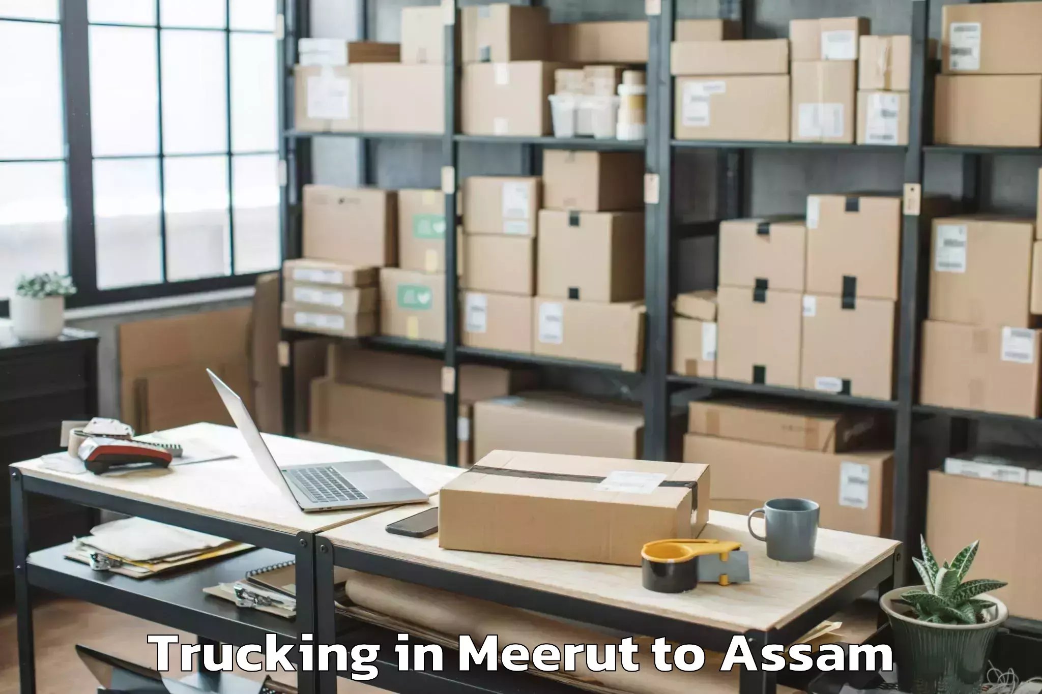 Book Meerut to Tezpur University Trucking Online